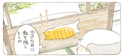 念のために飯を隠しとくか