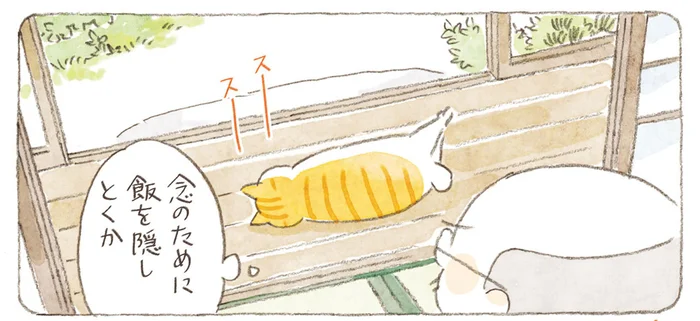 じいちゃんの居ぬ間に猫がむくり。隠し場所はお見通しだ！／ねことじいちゃん 9（4）