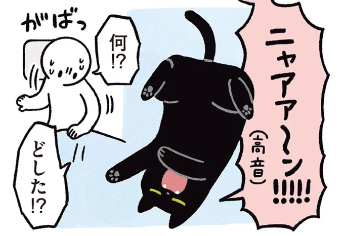 ニャアア〜ン!!!!!