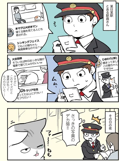 さっきの写真のデカ猫！！