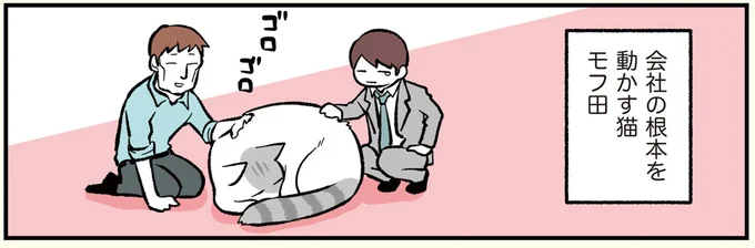 会社の根本を動かす猫