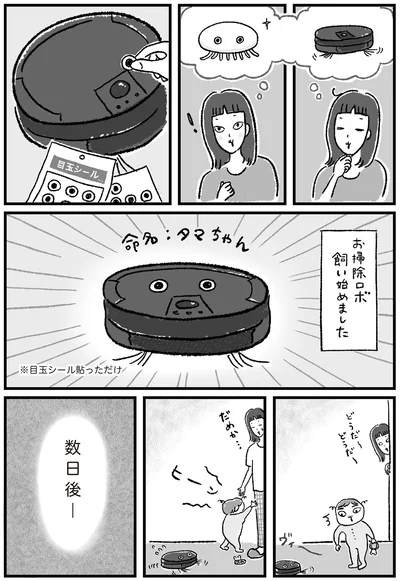 タマちゃん