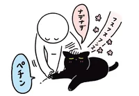 猫が嫌がる爪切り。なでている隙を狙い撃ち！