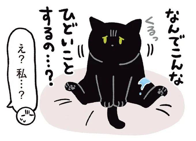 なんでこんなひどいことするの…?