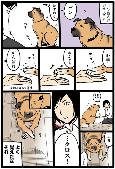 得意技