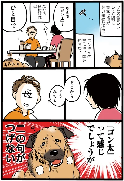 衝撃的ネーミング