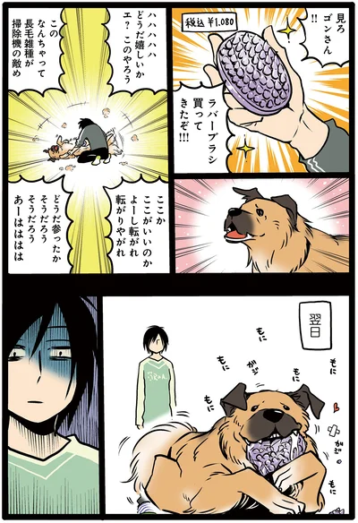 そういうのじゃないんだゴンさん…