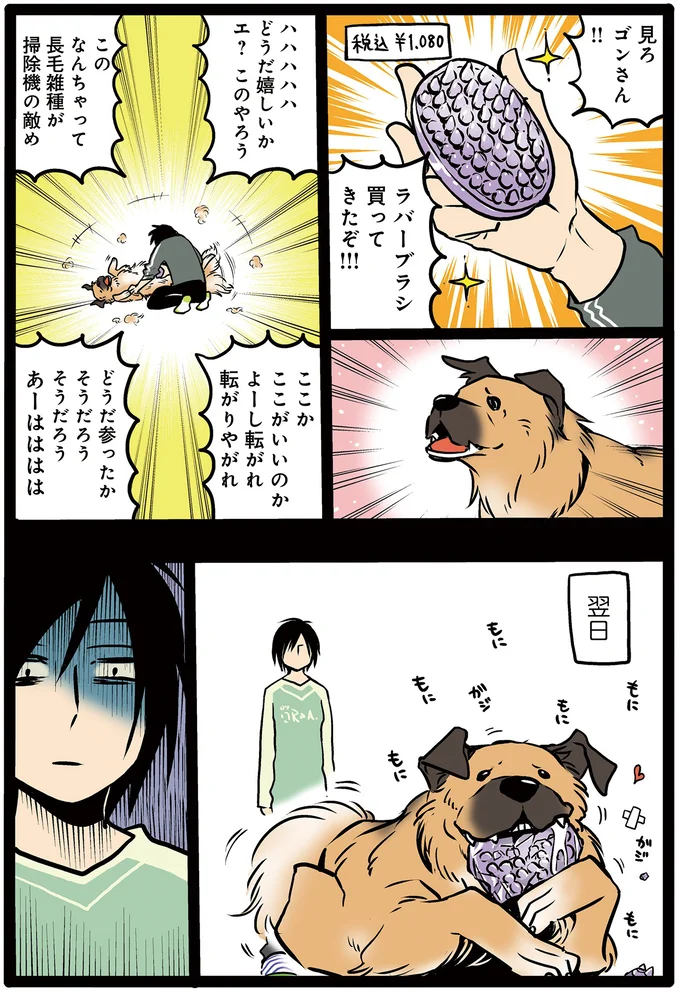 そういうのじゃないんだゴンさん…