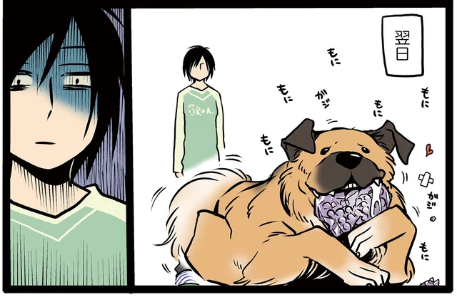 愛犬のルーティンワークが面白い！ おなかを満たすとアゴをのせてくる犬／雑種犬ゴンさんがダサかわいい（2）