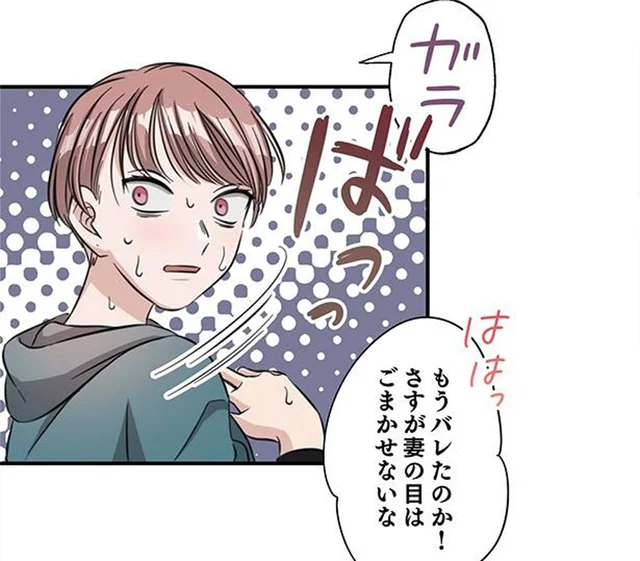 夫とは12年もレス状態。しかも夫には彼女がいる／相互アリバイ妻（8）