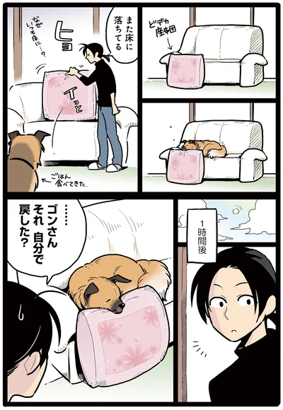 ベストポジション