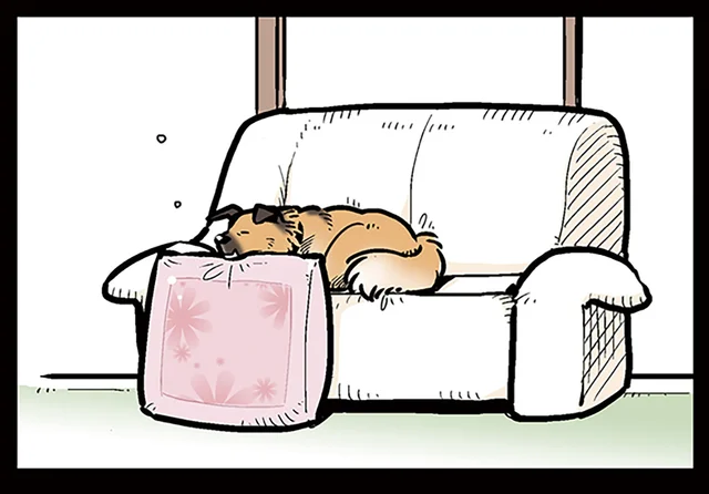 高級おやつに大興奮!? 見たことないおすわりをする愛犬／雑種犬ゴンさんがダサかわいい（4）