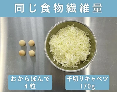 「もちもち！おからぽんで」の食物繊維量