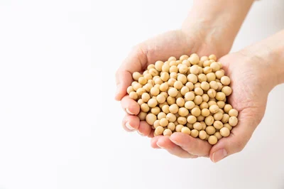 低糖質でモチモチおいしい！「おから」のおやつがオンラインでの販売を開始