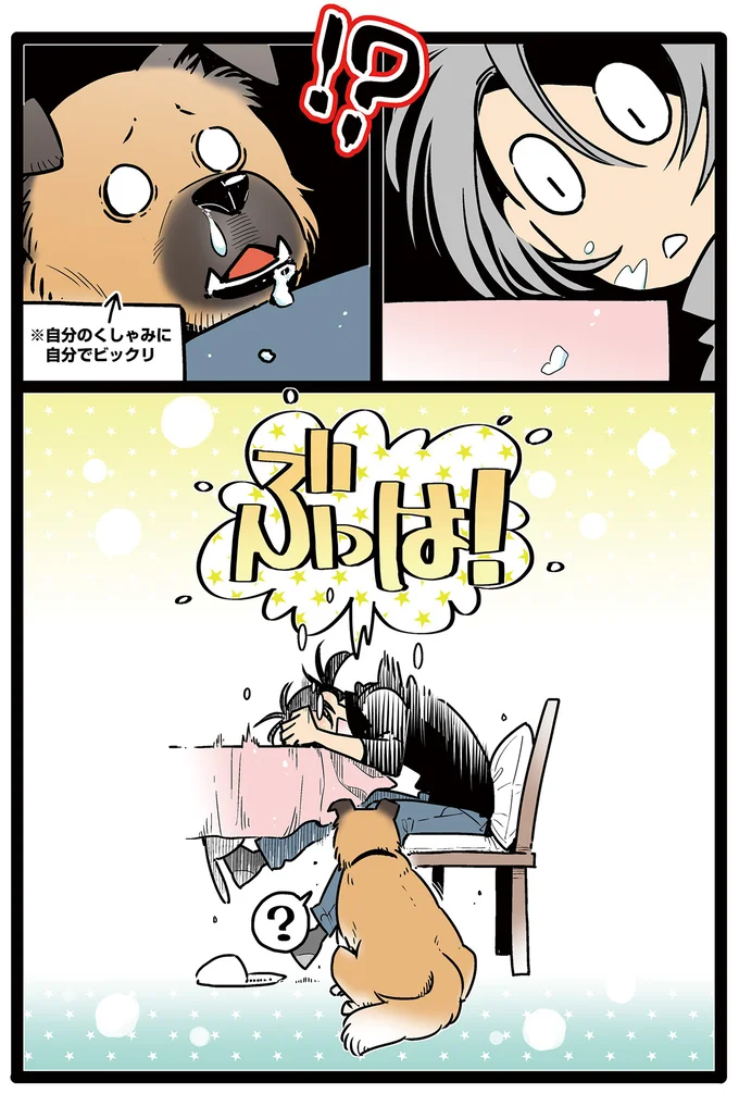 自分のくしゃみにおどろくゴンさんを見たら