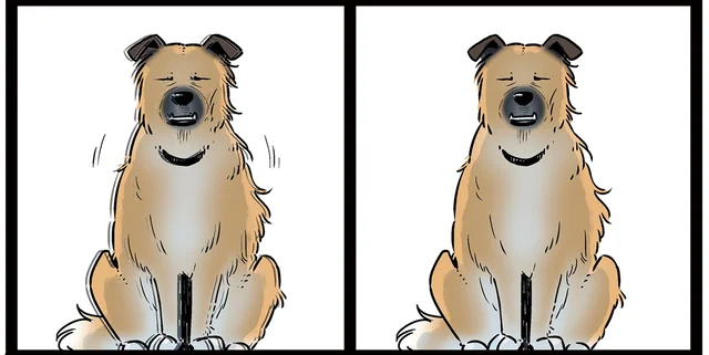 飼い主に似たのかな？ もはや別の犬種のように寝癖がすごい愛犬／雑種犬ゴンさんがダサかわいい（8）