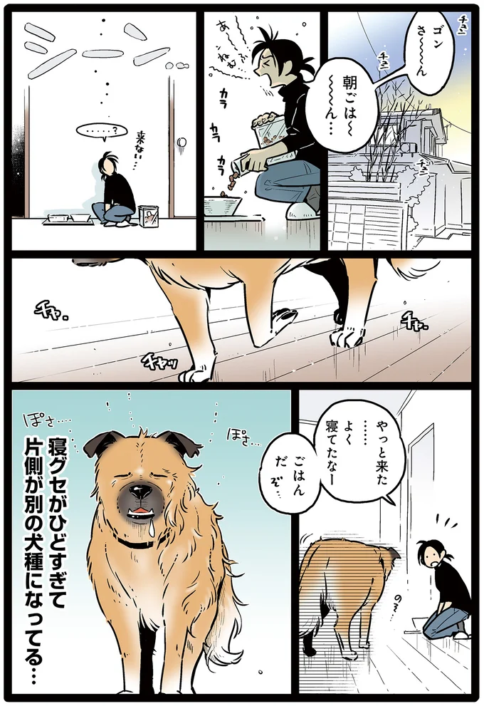 ねぼすけワンコ