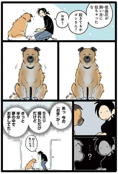 今の「お手」か…
