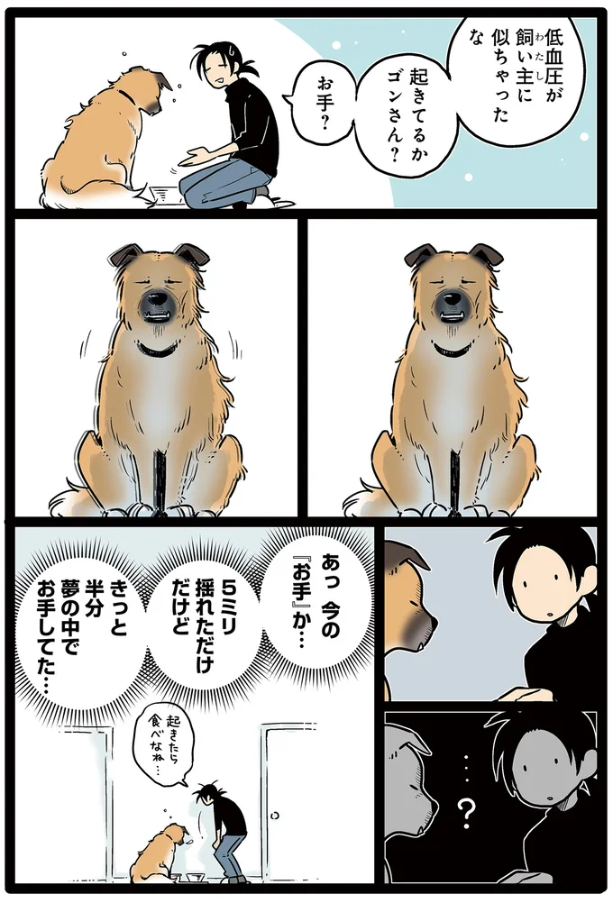 今の「お手」か…