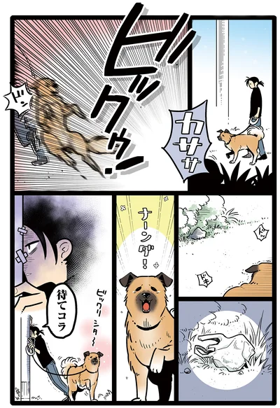 路地裏は逃げ幅が狭い故