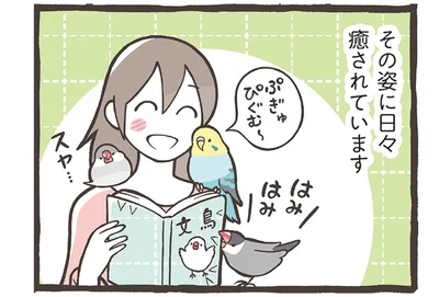 日々癒されています