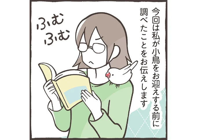 小鳥をお迎えする前に調べたことをお伝えします