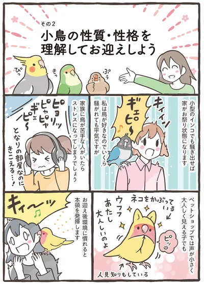 小型のインコでも騒ぎ出せばお祭り状態に
