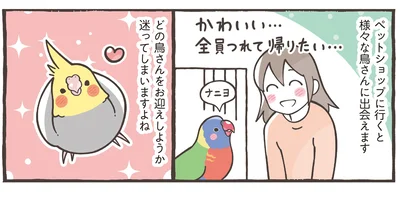 ペットショップに行くと様々な鳥さんに出会えます