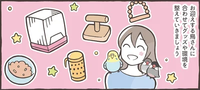 お迎えする鳥さんに合わせてグッズや環境を整えていきましょう