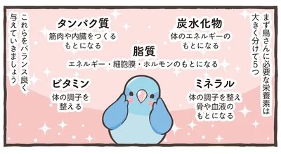 必要な栄養素は大きく分けて5つ
