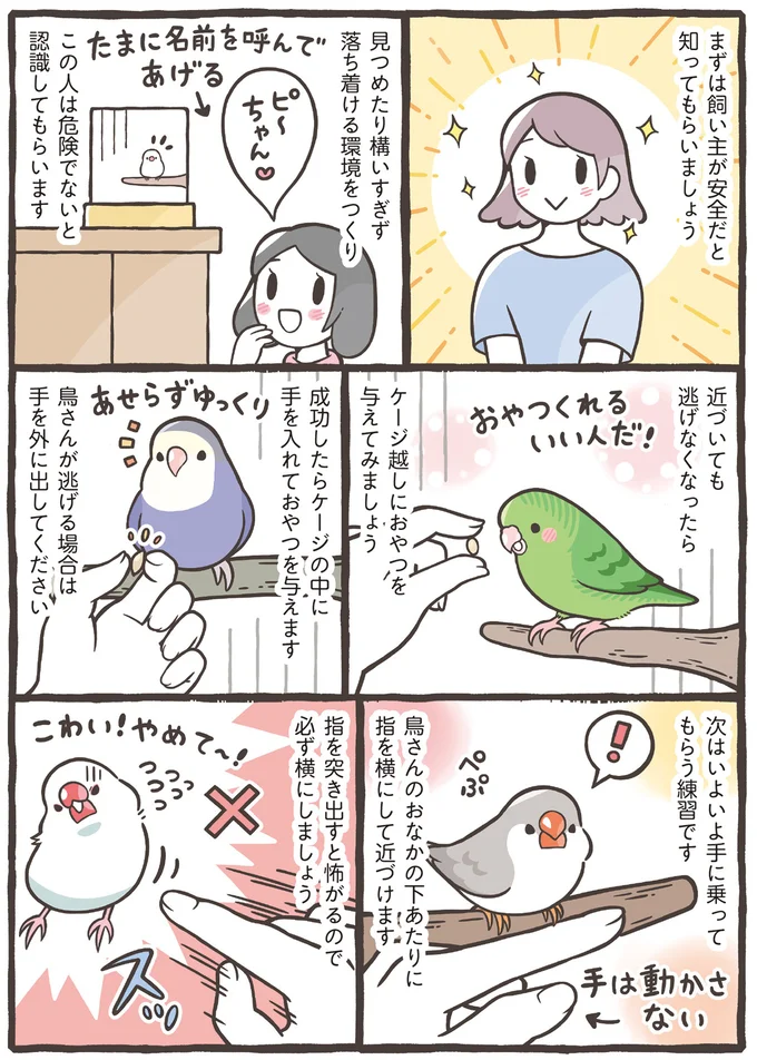 まずは飼い主が安全だと知ってもらいましょう