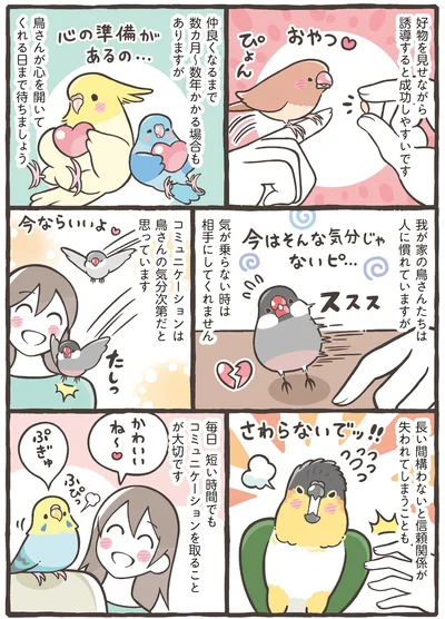 好物を見せながら誘導すると成功しやすいです