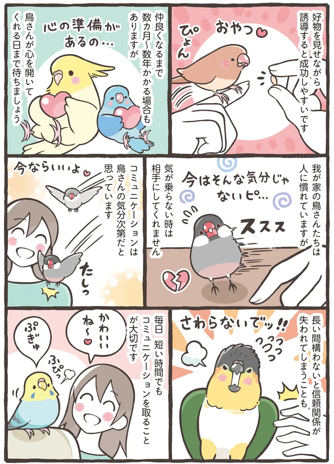 好物を見せながら誘導すると成功しやすいです