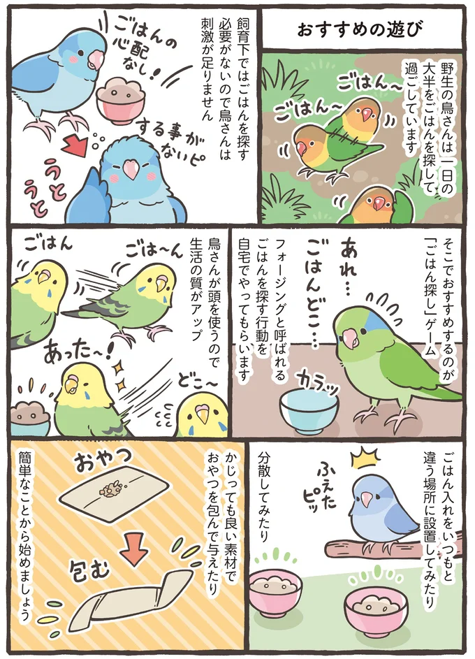 おすすめの遊び