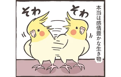 本当は感情豊か