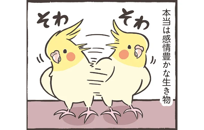 本当は感情豊か