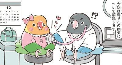 鳥さんの病気について解説します