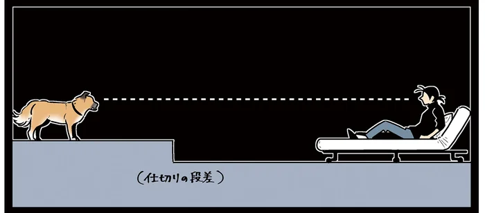 目線が合った瞬間の出来事！ 犬がロケットのように飛んできた件／雑種犬ゴンさんがダサかわいい（9）