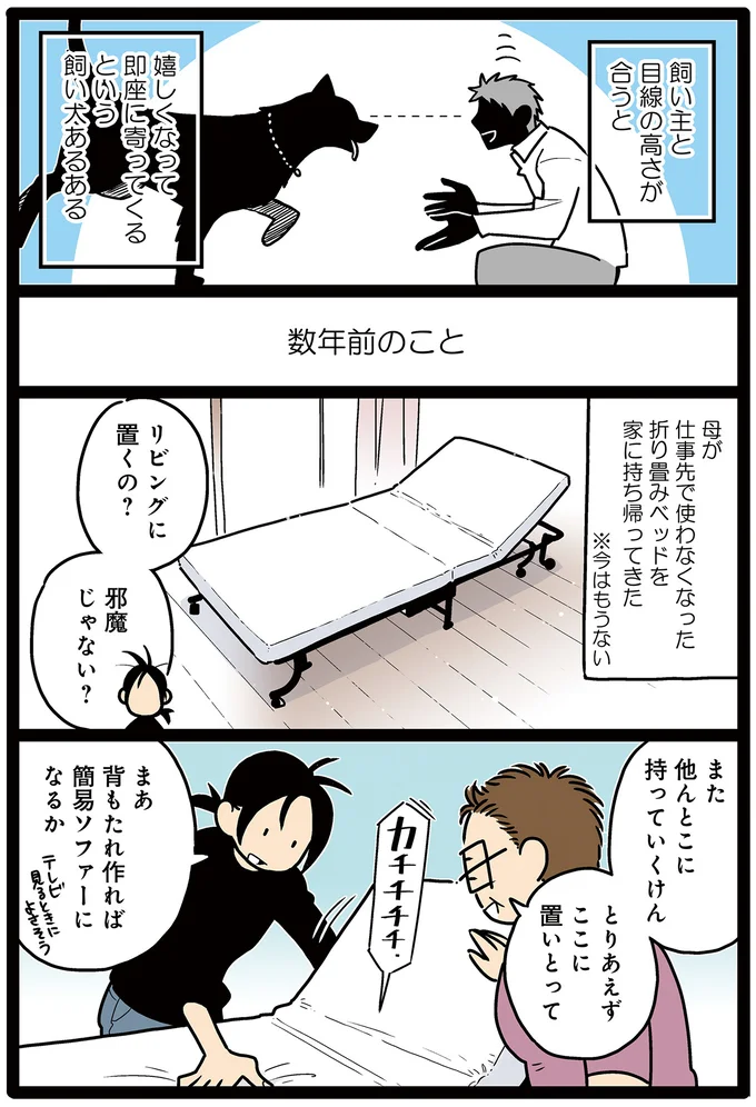 ロケットわんこ