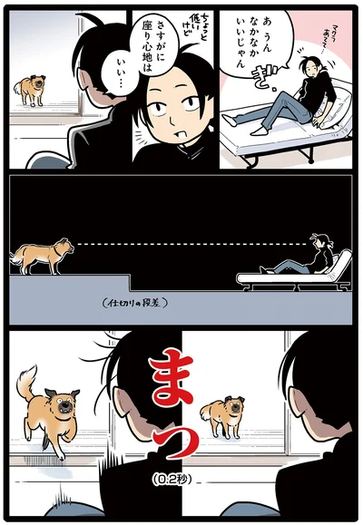 ゴンさんと目が合った…！