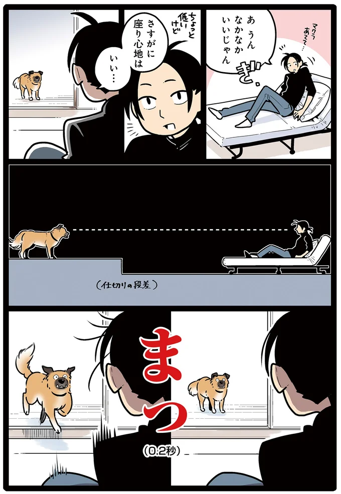 ゴンさんと目が合った…！