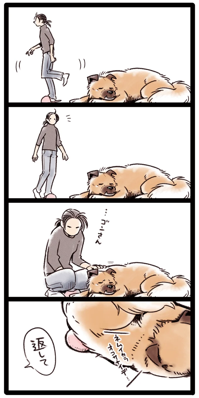 スリッパのゆくえ