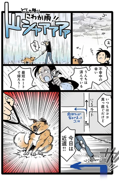 ゆずれない戦い
