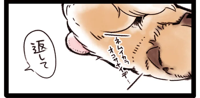 「眠いから起こさないで」愛犬よ、眠るのはいいけどスリッパ返して／雑種犬ゴンさんがダサかわいい（10）