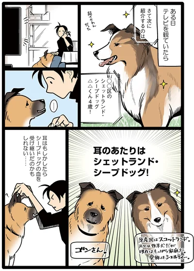 ルーツを探る