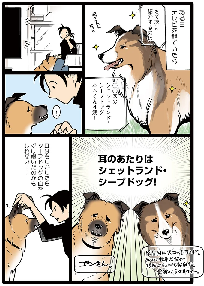 ルーツを探る