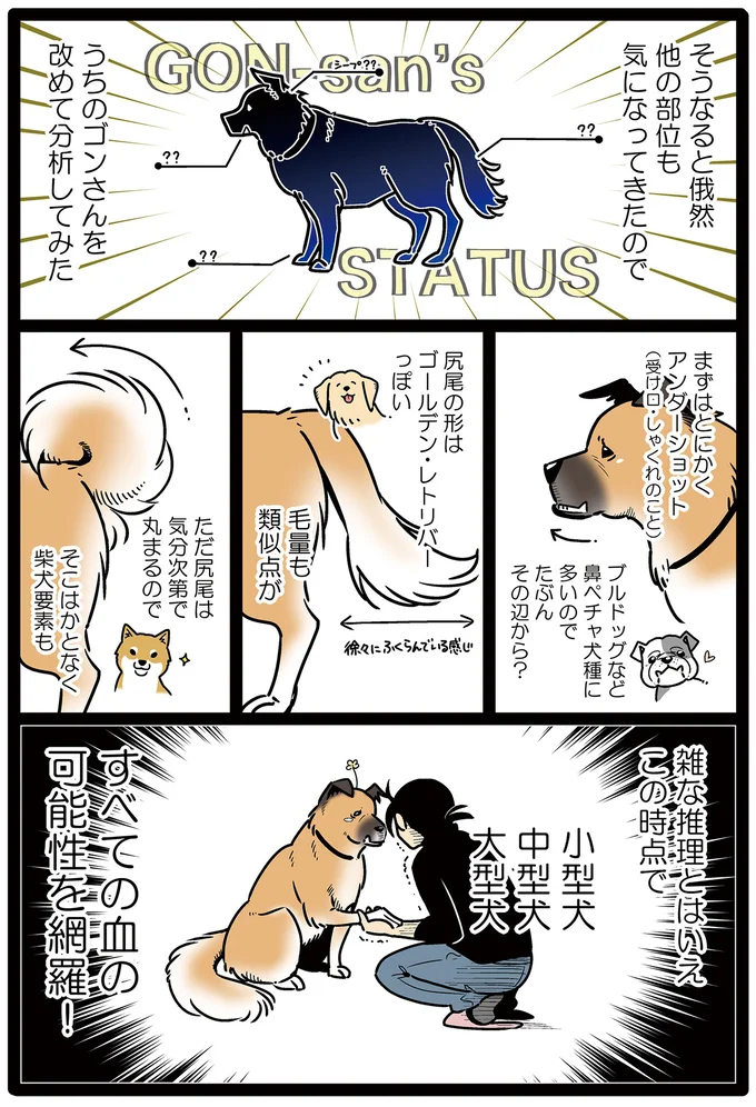 すべての血の可能性を網羅