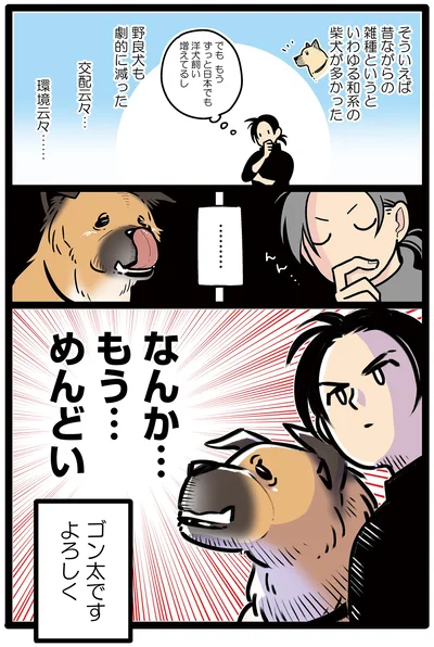 ゴン太です