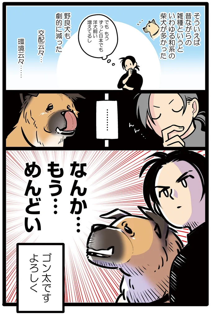 ゴン太です