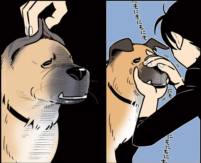 5月13日は愛犬の日！ 知らなかった飼い主は愛犬を愛でることにしました／雑種犬ゴンさんがダサかわいい（11）